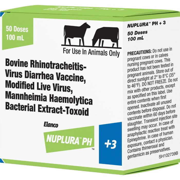Respiratory - Cattle